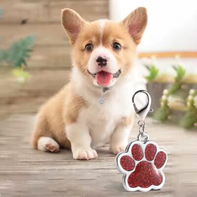 Custom Engraved Metal Pet ID Tags with Dog and Cat Names

