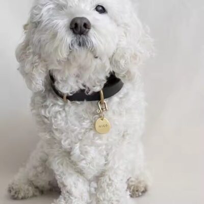 Luxury Hand Stamped Brass and Copper Pet ID Tags