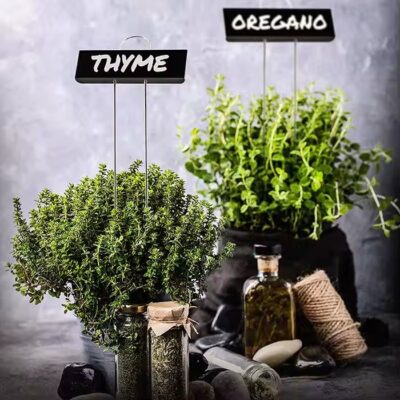 Outdoor Brass Metal Tree Tags and Plant Markers for Gardening