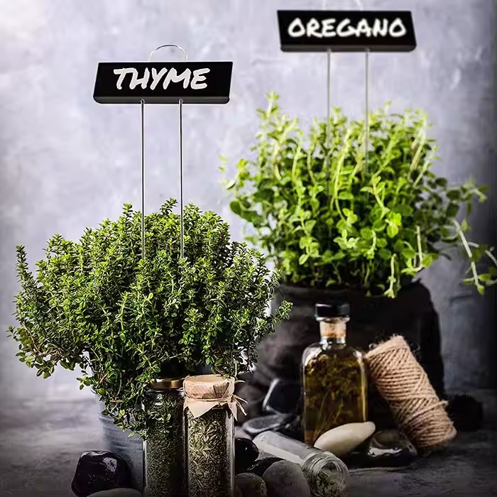 Outdoor Brass Metal Tree Tags and Plant Markers for Gardening