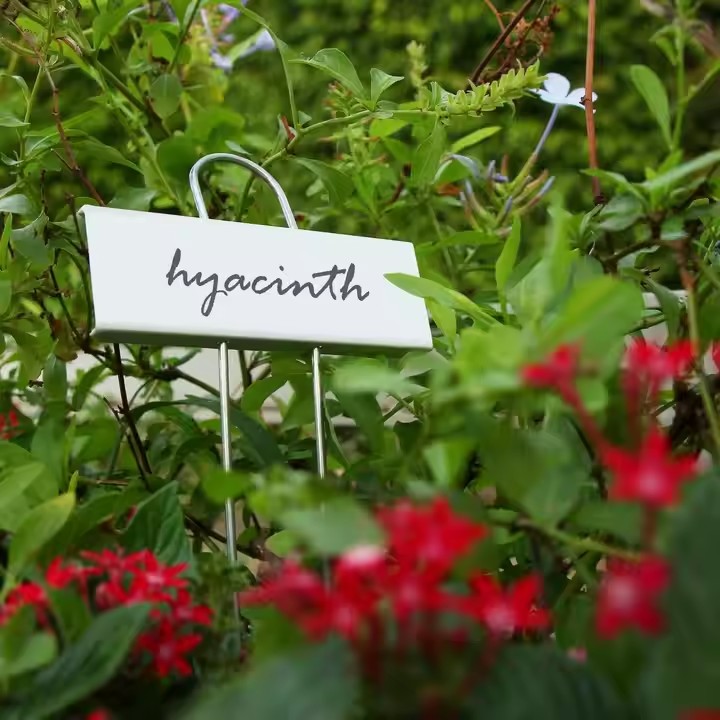 Custom Metal Tree Tags and Plant Markers for Garden Seedlings