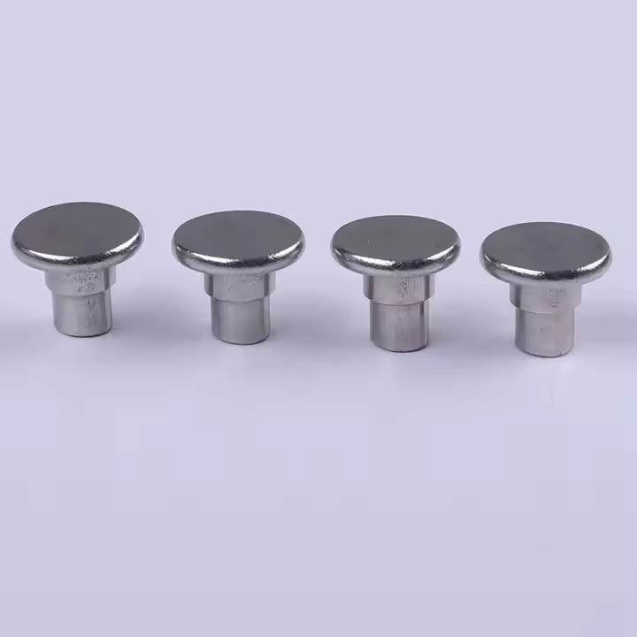 High-quality stainless steel screw-in and rivet mounting tags