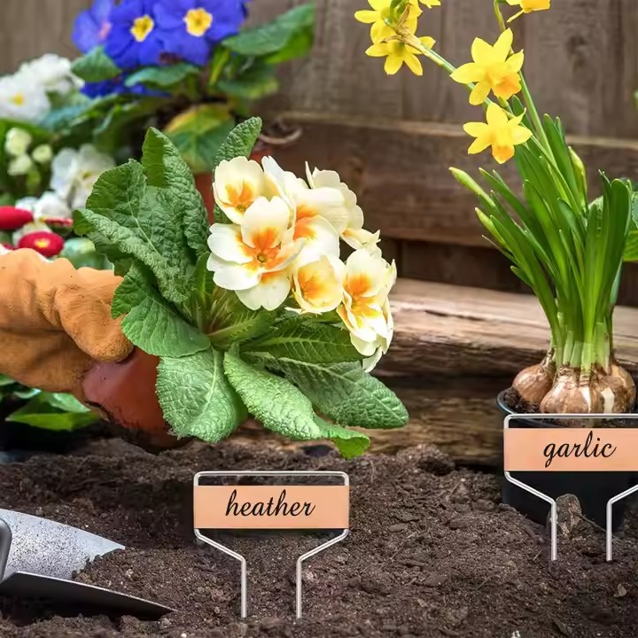 Eco-Friendly Metal Plant Labels and Tree Tags for Garden Use