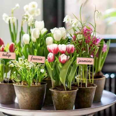 Eco-Friendly Metal Plant Labels and Tree Tags for Garden Use