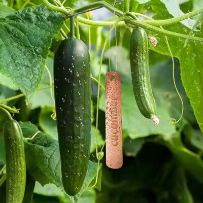 Best-Selling Outdoor Metal Tree Markers and Plant Tags for Gardens