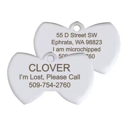 Custom Stainless Steel Metal Pet ID Tag