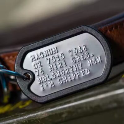 Custom 3D stainless steel dog tag with deep stamped design