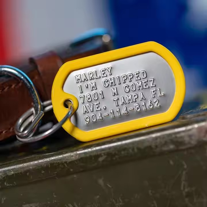 Custom 3D stainless steel dog tag with deep stamped design