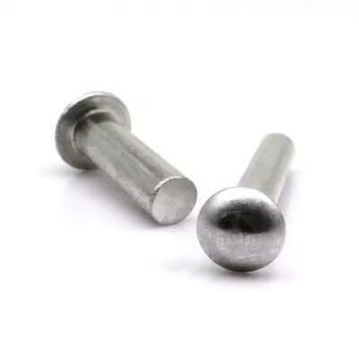 Dome head aluminum screw-in and rivet tags with self-plug design