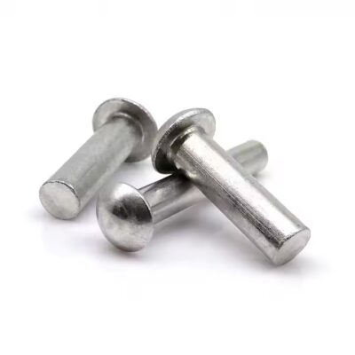 Dome head aluminum screw-in and rivet tags with self-plug design
