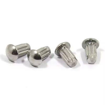 304 stainless steel knurled dome head screw-in and rivet tags