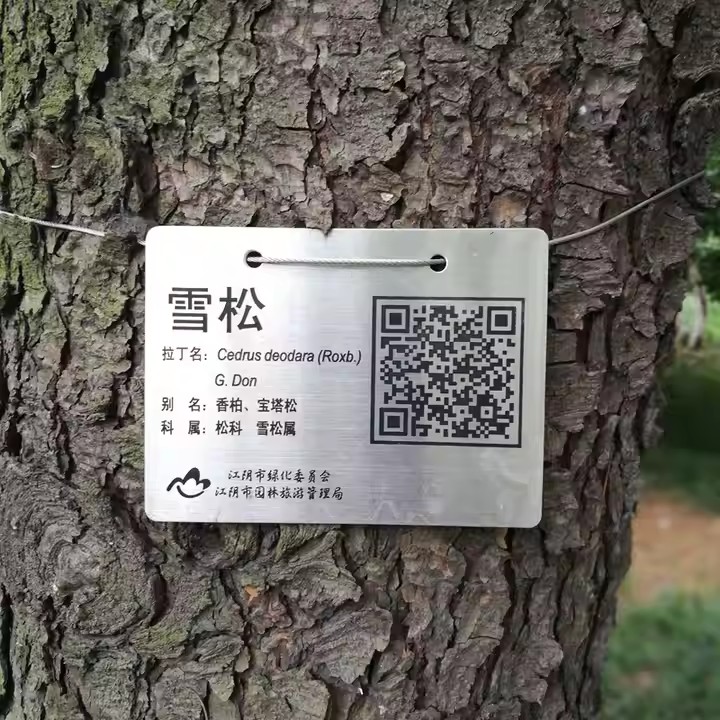 Custom QR Code Metal Tree and Plant Tags